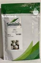 بذر پیاز سفید سایروس در کرمان  در گروه خرید و فروش بذر پیاز در یکمیوه