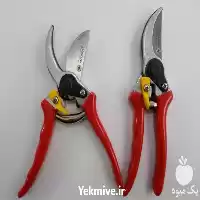 قیمت خرید قیچی باغبانی بستو در گروه خرید و فروش لوازم باغبانی در یکمیوه