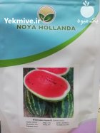 فروش بذر هندوانه آیسان بذر هندوانه در اهواز در گروه خرید و فروش بذر هندوانه در یکمیوه