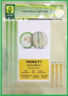 فروش بذر خربزه سمسوری ایوانا یوکسل در اهواز در گروه خرید و فروش بذر خربزه در یکمیوه