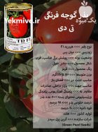 بذر گوجه فرنگی تی دی در کرج در گروه خرید و فروش بذر گوجه در یکمیوه