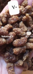 توت خشک توت ضعیف در گروه خرید و فروش توت در یکمیوه