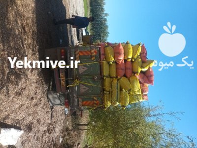 پوکه تخمه آفتابگردان در خوی در گروه خرید و فروش انواع تخمه در یکمیوه -عکس2