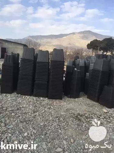 قیمت خرید گلدان گلخانه ای در شیراز در گروه خرید و فروش گیاهان زینتی در یکمیوه -عکس1