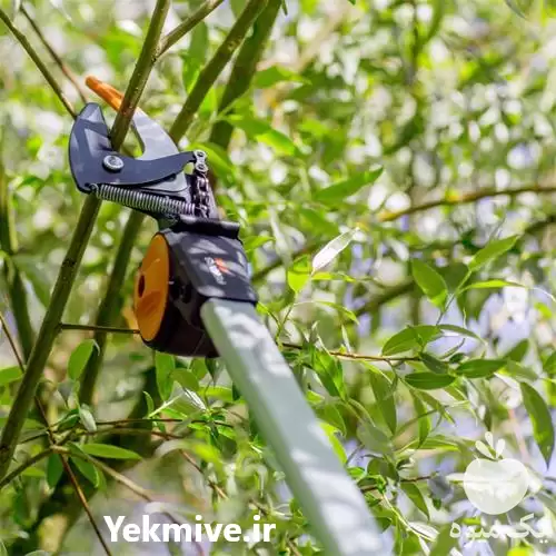 فروش قیچی شاخه زن در اصفهان در گروه خرید و فروش اره برقی در یکمیوه -عکس1