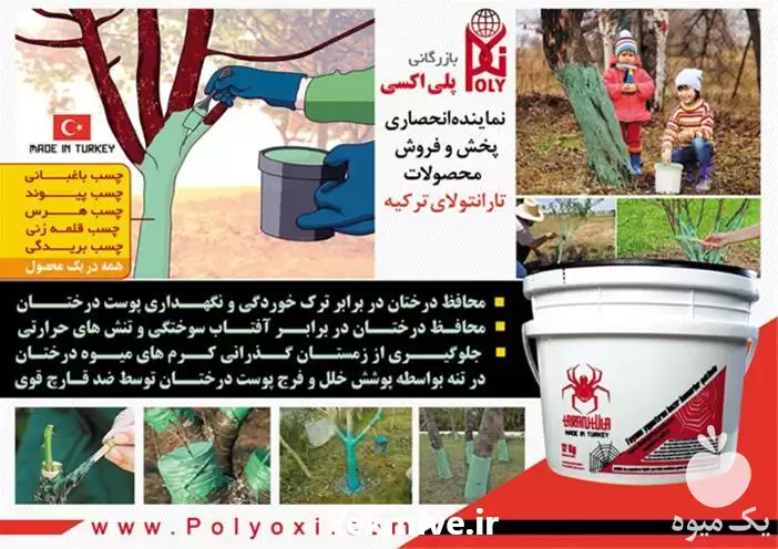 چسب باغبانی و هرس تارانتولا در تهران در گروه خرید و فروش لوازم باغبانی در یکمیوه -عکس1