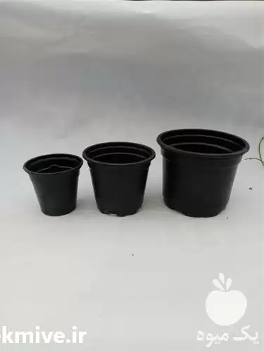 قیمت خرید گلدان ژله ای سایز در تهران در گروه خرید و فروش گلدان در یکمیوه -عکس1