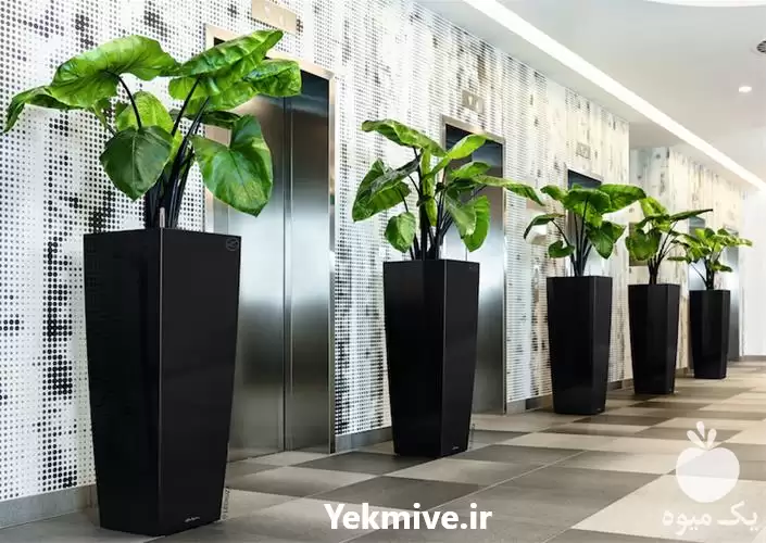 قیمت خرید طراحی تولید گلدان در گروه خرید و فروش گلدان در یکمیوه -عکس1