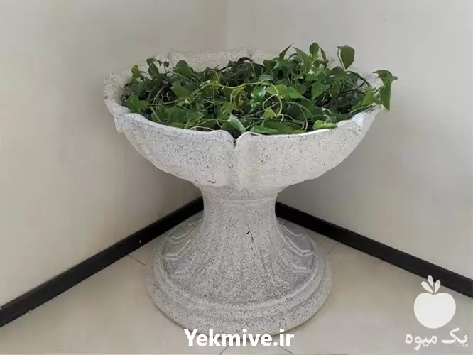 قیمت خرید طراحی تولید گلدان در ساری در گروه خرید و فروش گلدان در یکمیوه -عکس1