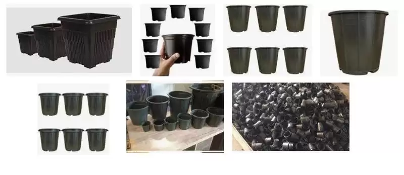 قیمت خرید گلدان پلاستیکی کشاورزی در تهران در گروه خرید و فروش گیاهان زینتی در یکمیوه -عکس1