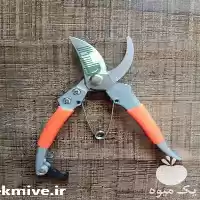 قیمت خرید عمده تکی قیچی باغبانی در گروه خرید و فروش لوازم باغبانی در یکمیوه