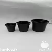 قیمت خرید گلدان ژله ای سایز در تهران در گروه خرید و فروش گلدان در یکمیوه