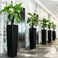 قیمت خرید طراحی تولید گلدان در گروه خرید و فروش گلدان در یکمیوه