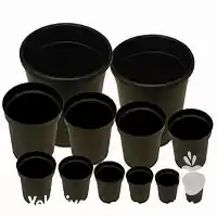 فروش عمده گلدان های پلاستیکی ژله در تهران در گروه خرید و فروش گیاهان زینتی در یکمیوه