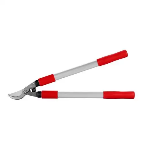 قیمت خرید قیچی شاخه زن رونیکس در اصفهان در گروه خرید و فروش اره برقی در یکمیوه -عکس1