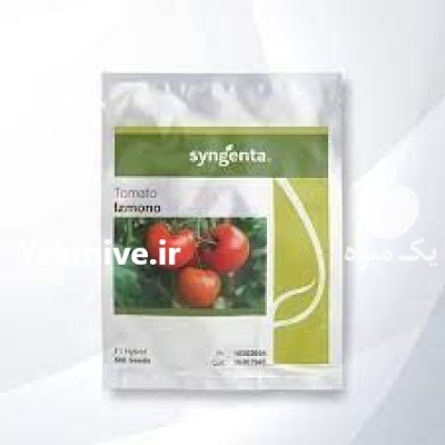 بذر گوجه گلخانه ای ایزمونو در شیراز در گروه خرید و فروش بذر گوجه در یکمیوه -عکس1