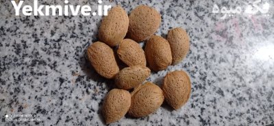 پوست بادام در تهران در گروه خرید و فروش بادام در یکمیوه -عکس1