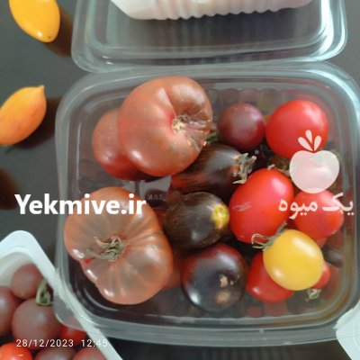 گوجه چری رنگی گلخانه ای در مشهد در گروه خرید و فروش گوجه فرنگی در یکمیوه -عکس2