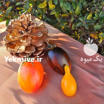 گوجه چری رنگی گلخانه ای در مشهد در گروه خرید و فروش گوجه فرنگی در یکمیوه -عکس4