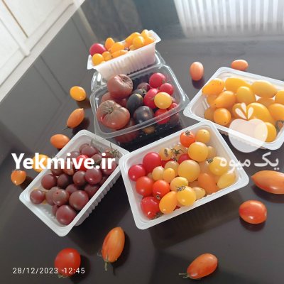 گوجه چری رنگی گلخانه ای در مشهد در گروه خرید و فروش گوجه فرنگی در یکمیوه -عکس3