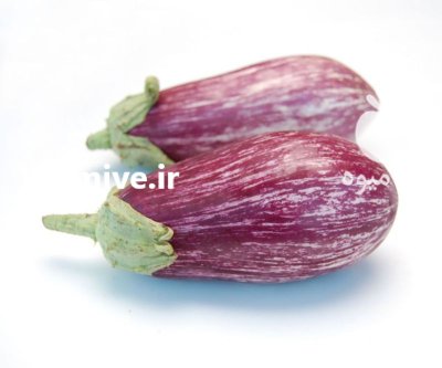 بادمجان چیتی در گروه خرید و فروش بادمجان در یکمیوه -عکس1
