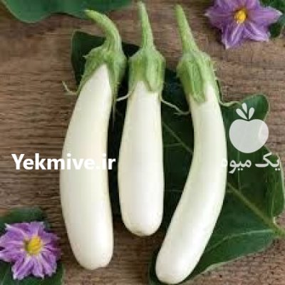 بادمجان سفید در مشهد در گروه خرید و فروش بادمجان در یکمیوه -عکس1