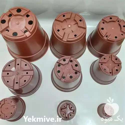 قیمت خرید انواع گلدان پلاستیکی در تهران در گروه خرید و فروش گیاهان زینتی در یکمیوه -عکس1