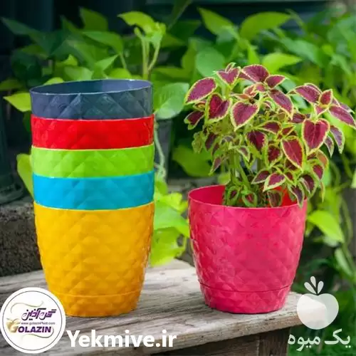 فروش گلدان زمرد گل آذین در مشهد در گروه خرید و فروش گیاهان زینتی در یکمیوه -عکس1