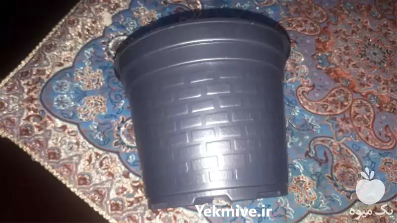 تولید و فروش گلدان های ژله در تهران در گروه خرید و فروش گلدان در یکمیوه -عکس1