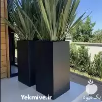 فروش طراحی فلاور باکس در تهران در گروه خرید و فروش گلدان در یکمیوه