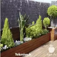 فروش ساخت فلاورباکس در گروه خرید و فروش گیاهان زینتی در یکمیوه