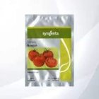 بذر گوجه گلخانه ای نیوتن در تبریز در گروه خرید و فروش بذر گوجه در یکمیوه