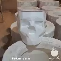 فروش تولید گلدان سرامیکی در همدان در گروه خرید و فروش گیاهان زینتی در یکمیوه