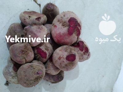 چغندرلبو قزوین درجه یک به شرط در ارداق در گروه خرید و فروش چغندر در یکمیوه -عکس2