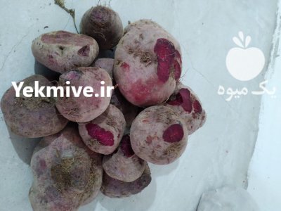 چغندرلبو قزوین درجه یک به شرط در ارداق در گروه خرید و فروش چغندر در یکمیوه -عکس3