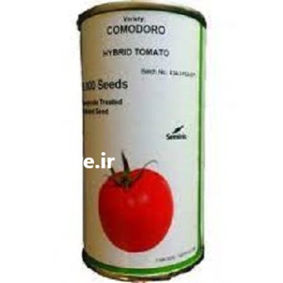 بذر گوجه گلخانه ای کومودو در گروه خرید و فروش بذر گوجه در یکمیوه -عکس1