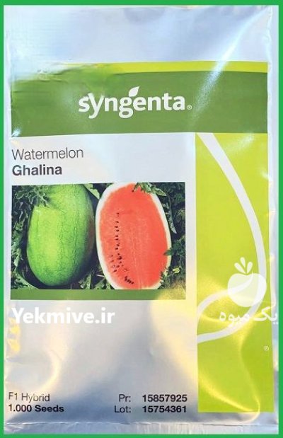 فروش بذر هندوانه قالینا syngenta در گروه خرید و فروش بذر هندوانه در یکمیوه -عکس1