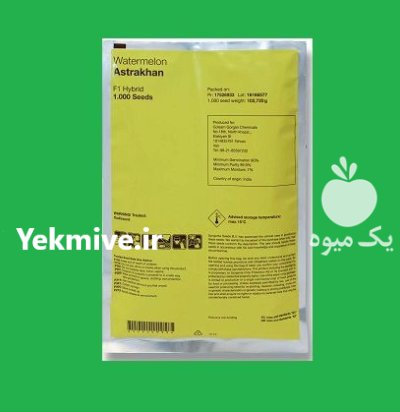 فروش بذر هندوانه آستراخان Syngenta سوئیس در گروه خرید و فروش بذر هندوانه در یکمیوه -عکس1