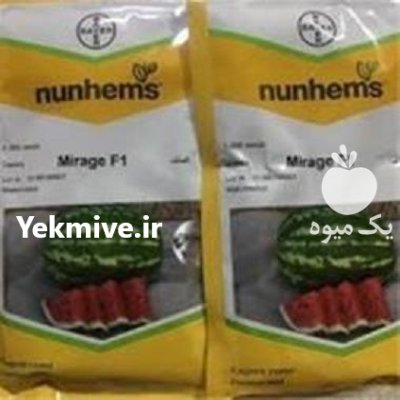 بذر هندوانه میراژ در ادیمی در گروه خرید و فروش بذر هندوانه در یکمیوه -عکس1