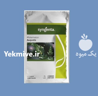 فروش بذر هندوانه شوگر بیبی آگوستا در گروه خرید و فروش بذر هندوانه در یکمیوه -عکس1