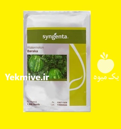 فروش بذر هندوانه Baraka F 1 سینجینتا در اهواز در گروه خرید و فروش بذر هندوانه در یکمیوه -عکس1