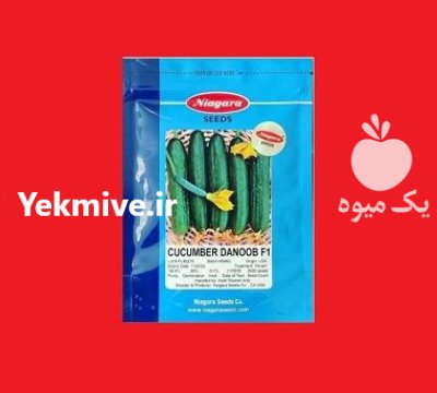 فروش ارسال بذر خیار DANOOB نیاگارا در اهواز در گروه خرید و فروش بذر خیار در یکمیوه -عکس1