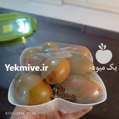 گوجه چری زبرا قهوه ای در مشهد در گروه خرید و فروش گوجه فرنگی در یکمیوه -عکس3