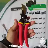 قیمت خرید قیچی باغبانی هوفر در تهران در گروه خرید و فروش لوازم باغبانی در یکمیوه