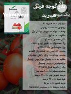بذر گوجه فرنگی هیبرید در کرج در گروه خرید و فروش بذر گوجه در یکمیوه