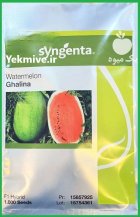 فروش بذر هندوانه قالینا syngenta در گروه خرید و فروش بذر هندوانه در یکمیوه