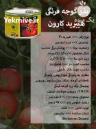 بذر گوجه فرنگی هیبرید کارون در کرج در گروه خرید و فروش بذر گوجه در یکمیوه