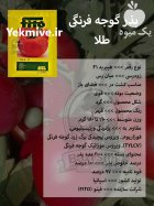 بذر گوجه فرنگی طلا در کرج در گروه خرید و فروش بذر گوجه در یکمیوه