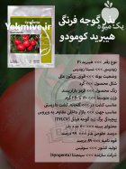 بذر گوجه فرنگی هیبرید کومودو در گروه خرید و فروش بذر گوجه در یکمیوه