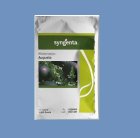 فروش بذر هندوانه شوگر بیبی آگوستا در گروه خرید و فروش بذر هندوانه در یکمیوه